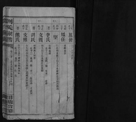 湖南刘氏族谱-刘氏家谱.pdf电子版插图1