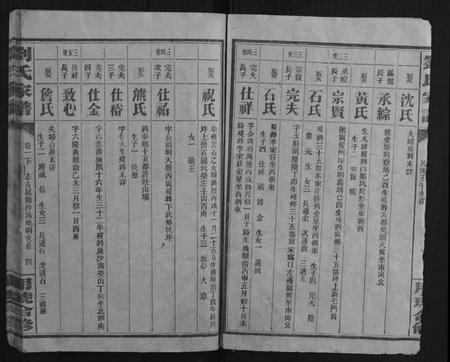 湖南刘氏族谱-刘氏家谱.pdf电子版插图3