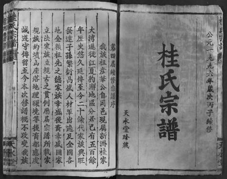 湖北桂氏族谱-桂氏宗谱.pdf电子版插图2