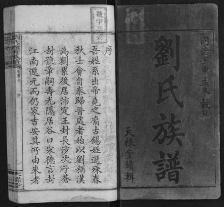 湖南刘氏族谱-刘氏续修族谱[21卷首2卷末1卷].pdf电子版插图1