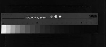 浙江周氏族谱-泮川周氏宗谱.pdf电子版插图 浙江周氏族谱-泮川周氏宗谱.pdf电子版插图