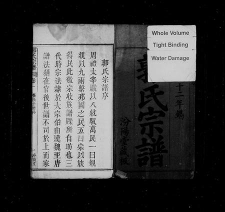 湖北郭氏族谱-郭氏宗谱 [16卷].pdf电子版插图2