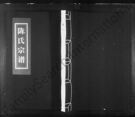 浙江陈氏族谱-洪川陈氏宗谱.pdf电子版插图1