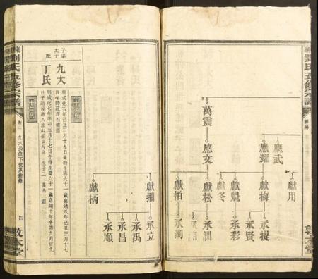 湖南刘氏族谱-东湖刘氏五修宗谱.pdf电子版插图4