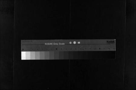 浙江林氏族谱-浙江省乐清市乐东林氏大宗谱 [3篇].pdf电子版