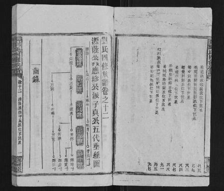 湖南刘氏族谱-邵陵刘氏四修族谱.pdf电子版插图2