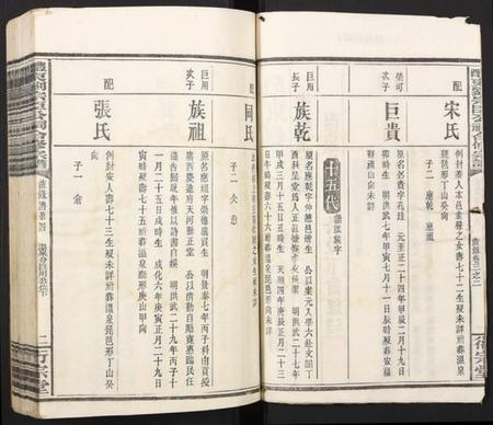 湖南刘氏族谱-醴东刘宗臣公祠合修宗谱.pdf电子版插图2