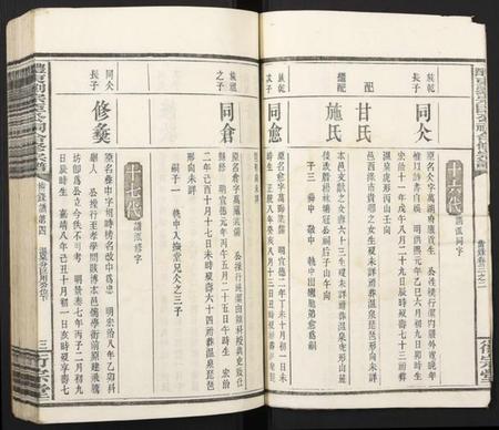 湖南刘氏族谱-醴东刘宗臣公祠合修宗谱.pdf电子版插图3