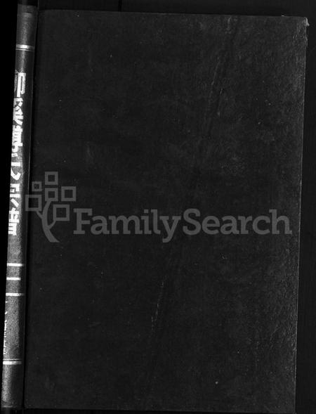 浙江傅氏族谱-浦阳柳溪傅氏宗谱 [4卷].pdf电子版插图1