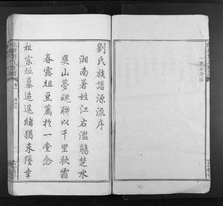 湖南刘氏族谱-龙塘刘氏族谱[12卷].pdf电子版插图3