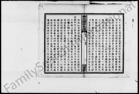 湖南柳氏族谱-柳氏续修族谱 [2卷,首末各1卷].pdf电子版插图5