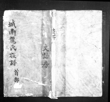 湖南龙氏族谱-城南龙氏族谱 [8卷,首1卷].pdf电子版插图1