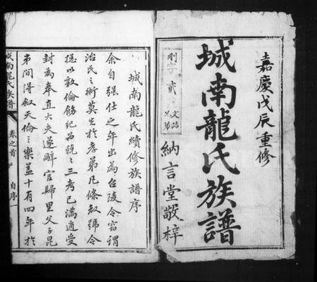 湖南龙氏族谱-城南龙氏族谱 [8卷,首1卷].pdf电子版插图2