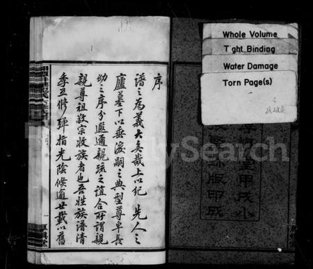 湖南龙氏族谱-湘潭井华龙氏六修族谱 [4卷,首2卷,末5卷].pdf电子版插图4