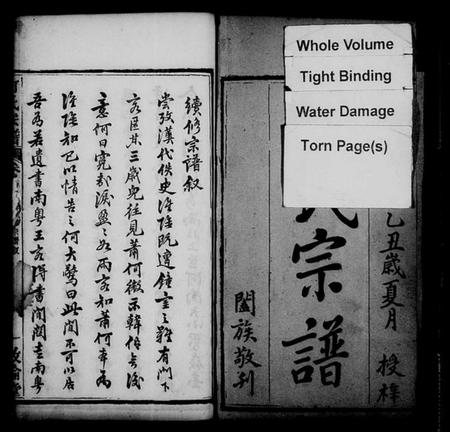 湖北何氏族谱-何氏宗谱 [34卷,首2卷].pdf电子版插图2