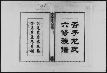 湖南龙氏族谱-杏子铺龙氏六修族谱 [8卷,首2卷].pdf电子版插图1