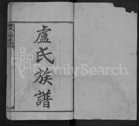 湖南卢氏族谱-卢氏五修族谱 [17卷,首2卷].pdf电子版插图1