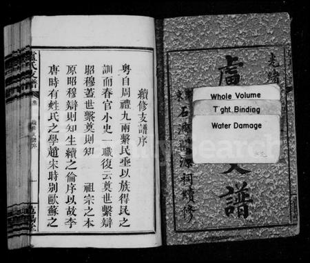 湖南卢氏族谱-卢氏支谱 [11卷,及附卷1].pdf电子版插图3