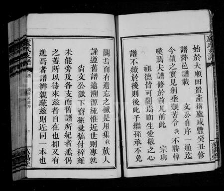 湖南卢氏族谱-卢氏支谱 [11卷,及附卷1].pdf电子版插图5