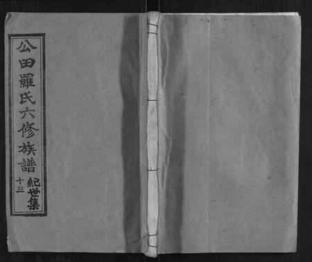 湖南罗氏族谱-公田罗氏六修族谱.pdf电子版