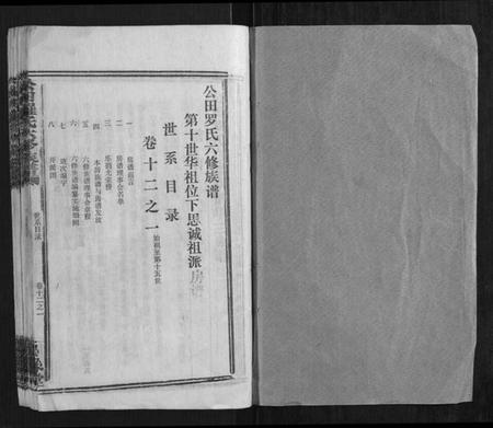 湖南罗氏族谱-公田罗氏六修族谱.pdf电子版插图1