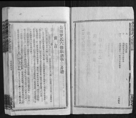 湖南罗氏族谱-公田罗氏六修族谱.pdf电子版插图2