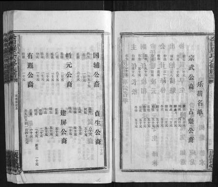 湖南罗氏族谱-公田罗氏六修族谱.pdf电子版插图4