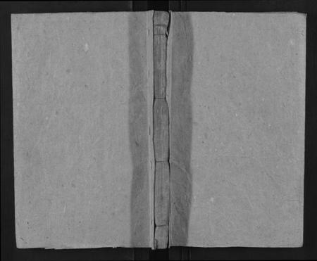 湖南罗氏族谱-桂东罗氏族谱[不分卷].pdf电子版