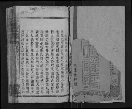 湖南罗氏族谱-桂东罗氏族谱[不分卷].pdf电子版插图1