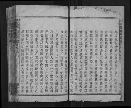 湖南罗氏族谱-桂东罗氏族谱[不分卷].pdf电子版插图2