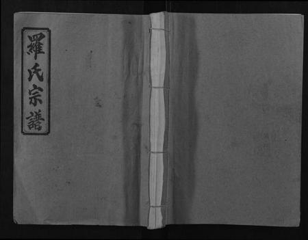 湖南罗氏族谱-浏阳营盘罗氏宗谱[31卷首2卷].pdf电子版