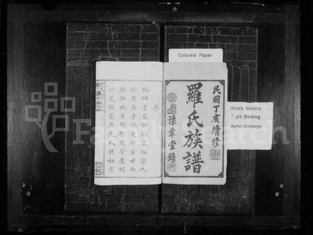 湖南罗氏族谱-罗氏七修族谱 [卷数杂异].pdf电子版插图2