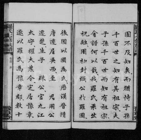 湖南罗氏族谱-罗氏七修族谱 [卷数杂异].pdf电子版插图4