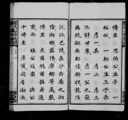 湖南罗氏族谱-罗氏七修族谱 [卷数杂异].pdf电子版插图5