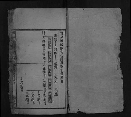 湖南罗氏族谱-罗氏九房族谱.pdf电子版插图1