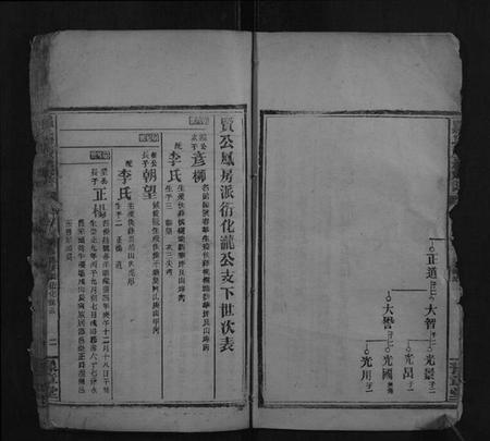 湖南罗氏族谱-罗氏九房族谱.pdf电子版插图2