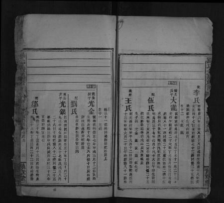 湖南罗氏族谱-罗氏九房族谱.pdf电子版插图3