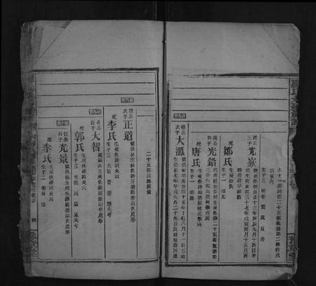 湖南罗氏族谱-罗氏九房族谱.pdf电子版插图4