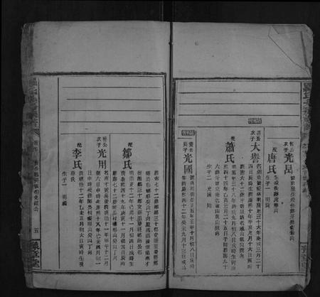 湖南罗氏族谱-罗氏九房族谱.pdf电子版插图5