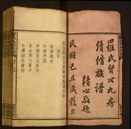 湖南罗氏族谱-罗氏九房族谱.pdf电子版插图1