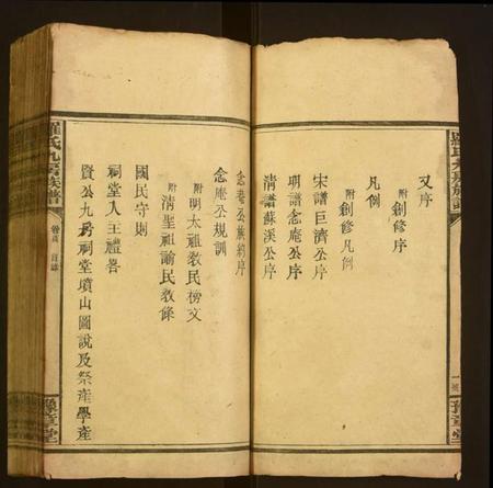 湖南罗氏族谱-罗氏九房族谱.pdf电子版插图2