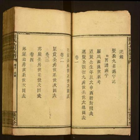 湖南罗氏族谱-罗氏九房族谱.pdf电子版插图3