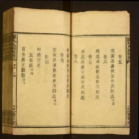 湖南罗氏族谱-罗氏九房族谱.pdf电子版插图4