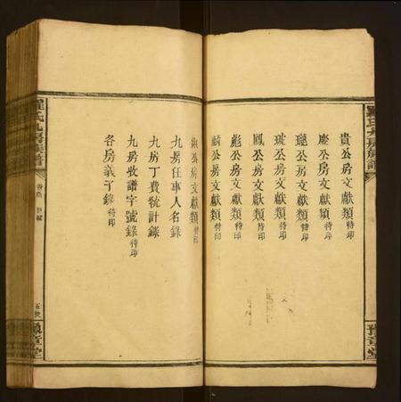 湖南罗氏族谱-罗氏九房族谱.pdf电子版插图5