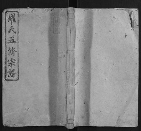 湖南罗氏族谱-罗氏五修宗谱[12卷].pdf电子版