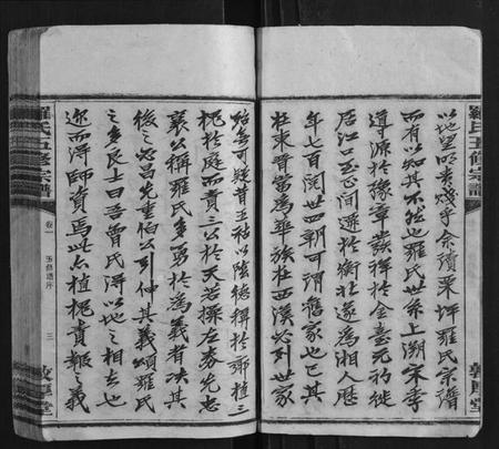 湖南罗氏族谱-罗氏五修宗谱[12卷].pdf电子版插图4