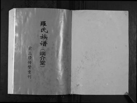 湖南罗氏族谱-罗氏四修族谱[不分卷].pdf电子版插图1