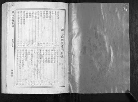 湖南罗氏族谱-罗氏四修族谱[不分卷].pdf电子版插图2