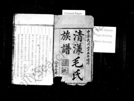 浙江毛氏族谱-清漾毛氏族谱 [卷数杂异].pdf电子版插图2