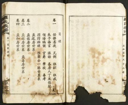 湖南罗氏族谱-罗氏族谱.pdf电子版插图4 湖南罗氏族谱-罗氏族谱.pdf电子版插图4